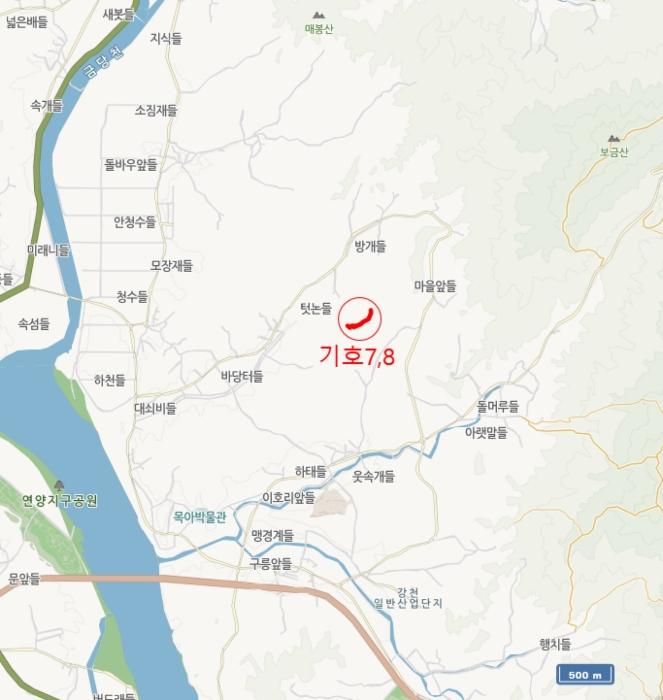 법원경매 2024타경32926 사진55 | 여주시 대신면 하림리 304-15 임야 경매