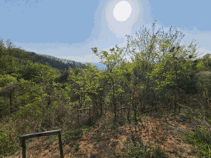 2025타경51191 법원경매 사진2 | 청주 상당구 임야 경매