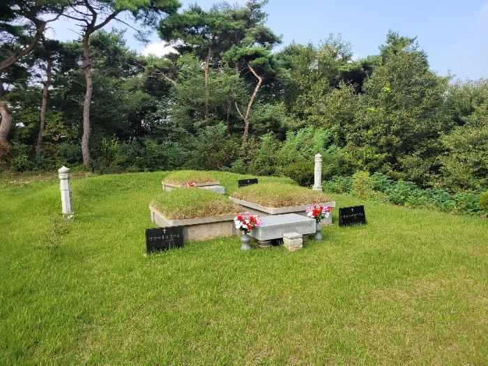 2024타경59129 법원경매 사진3 | 충남 당진시 전 경매
