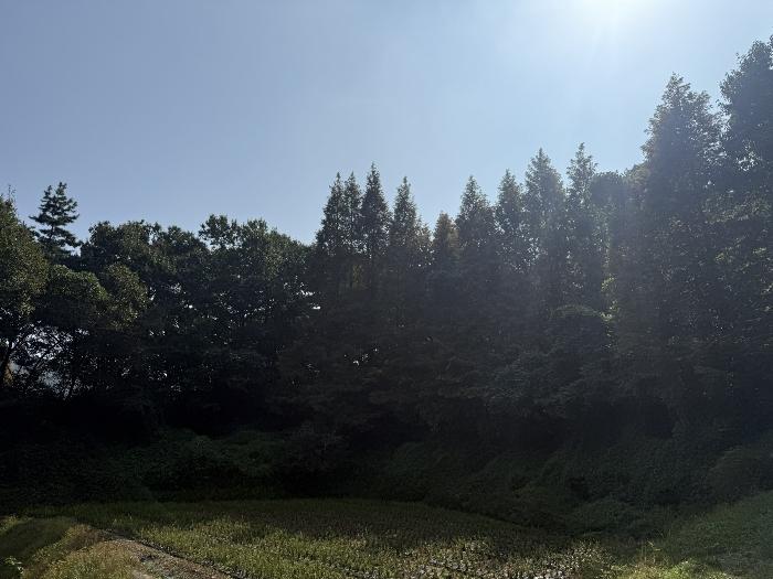 2024타경59341 법원경매 사진3 | 충남 서산시 전 경매