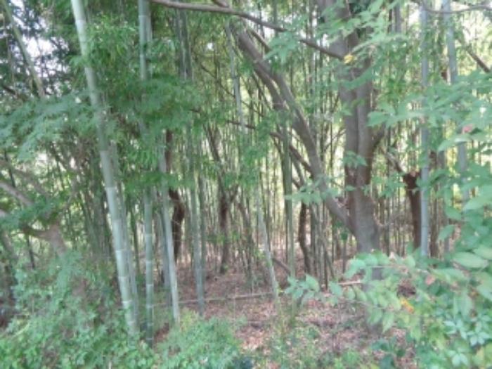 2024타경59341 법원경매 사진55 | 충남 서산시 전 경매