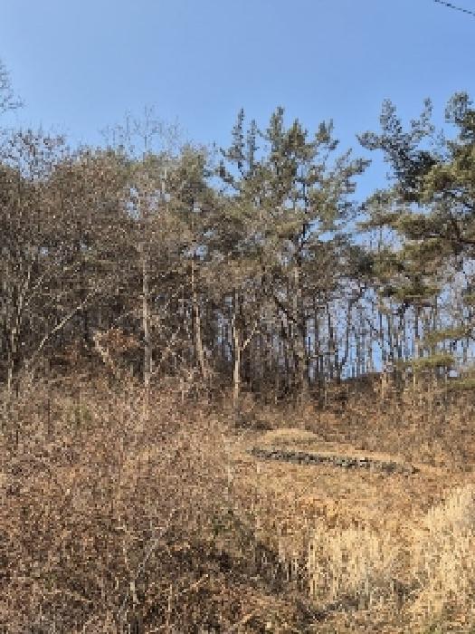 2025타경30555 법원경매 사진4 | 전남 화순군 대지,임야,전답 경매