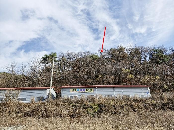 경기도 포천시 영중면 양문리 산71-4 법원경매 물건 대표사진