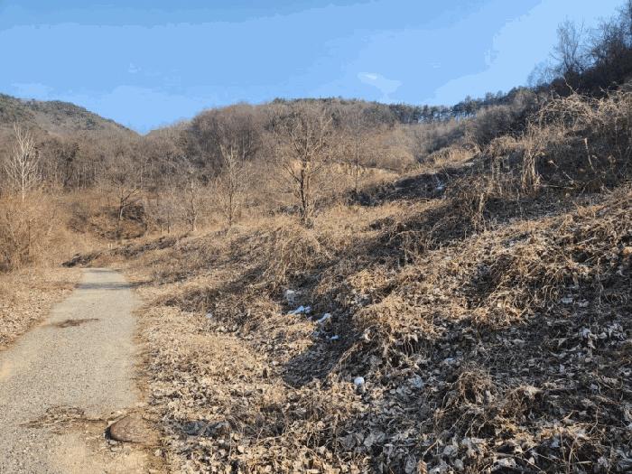 2025타경501820 법원경매 사진2 | 충남 금산군 임야 경매