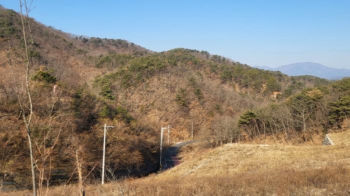 법원경매 2024타경120554 사진3 | 울산 울주군 삼동면 출강리 임야 경매