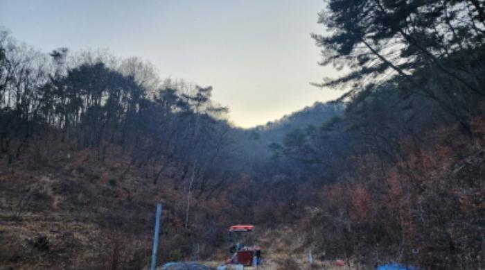 법원경매 2024타경120554 사진5 | 울산 울주군 삼동면 출강리 임야 경매