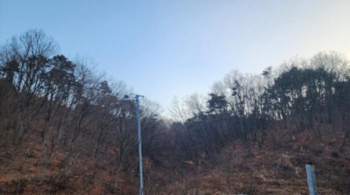 법원경매 2024타경120554 사진6 | 울산 울주군 삼동면 출강리 임야 경매