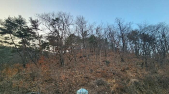 법원경매 2024타경120554 사진7 | 울산 울주군 삼동면 출강리 임야 경매