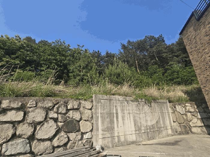 2025타경1141 법원경매 사진7 | 울산 울주군 근린시설 경매