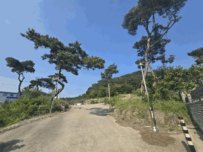 2025타경1141 법원경매 사진9 | 울산 울주군 근린시설 경매