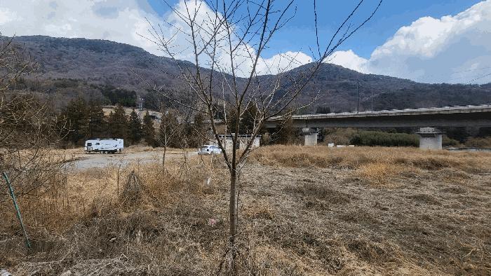 2025타경11481 법원경매 사진23 | 경남 양산시 임야 경매