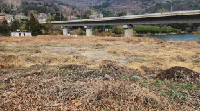 2025타경11481 법원경매 사진34 | 경남 양산시 임야 경매