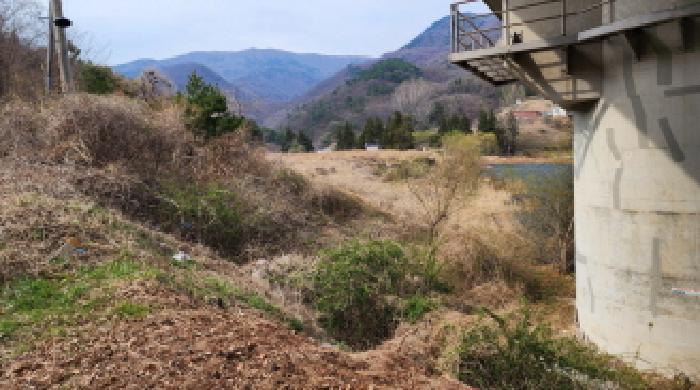 2025타경11481 법원경매 사진36 | 경남 양산시 임야 경매