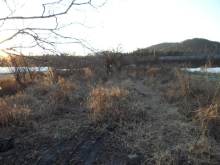 법원경매 2024타경5063 사진2 | 고령군 성산면 답 경매