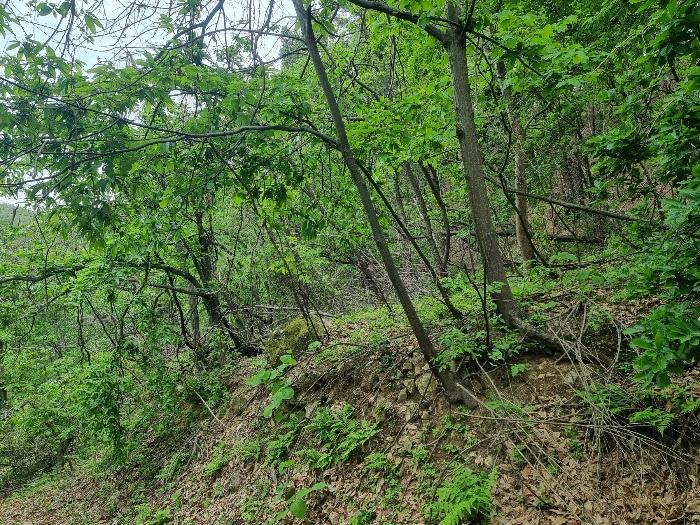 2024타경10530 법원경매 사진9 | 경북 울진군 전 경매