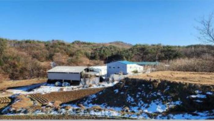 법원경매 2024타경406524 사진7 | 원주시 소초면 수암리 임야 경매