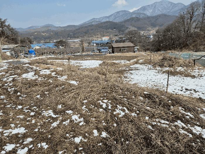 법원경매 2025타경293 사진9 | 음성군 생극면 오생리 644-2 답 경매