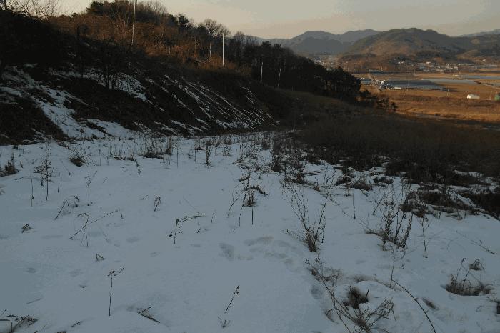 2025타경163 법원경매 사진13 | 충남 부여군 주택건물 경매