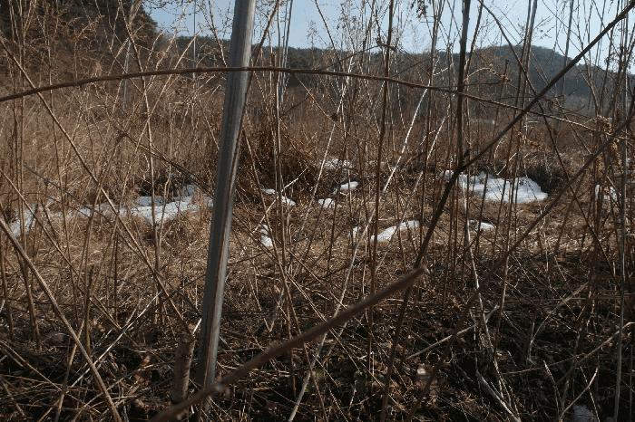 2025타경163 법원경매 사진16 | 충남 부여군 주택건물 경매