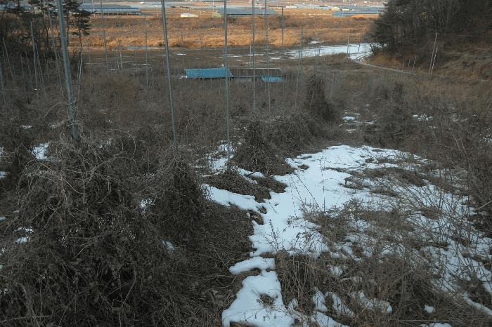 2025타경163 법원경매 사진18 | 충남 부여군 주택건물 경매