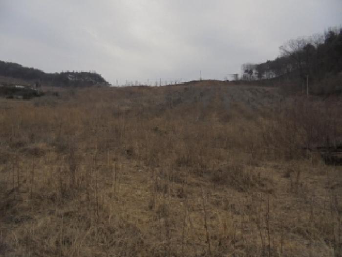 2025타경163 법원경매 사진35 | 충남 부여군 주택건물 경매