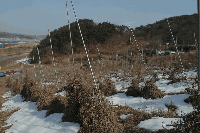 2025타경163 법원경매 사진5 | 충남 부여군 주택건물 경매