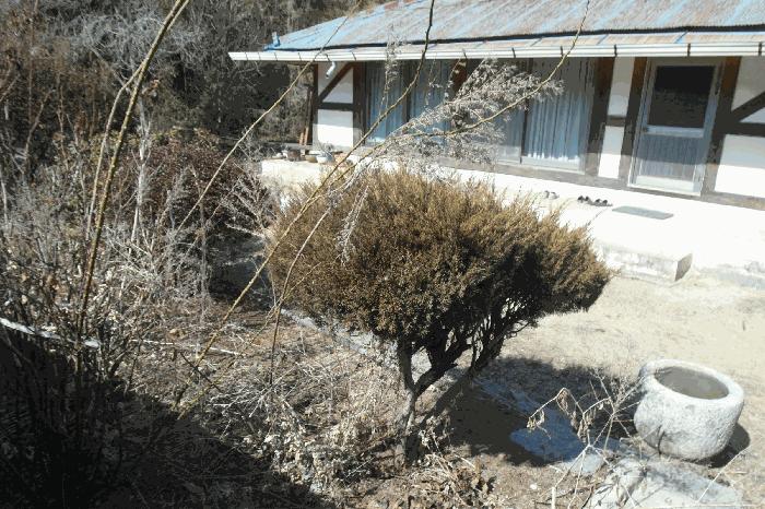 2025타경309 법원경매 사진12 | 충남 논산시 전 경매
