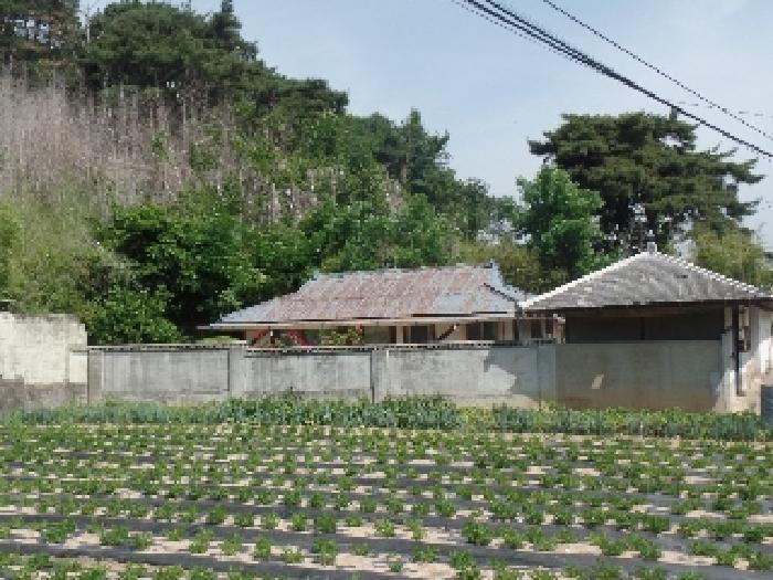 2025타경309 법원경매 사진19 | 충남 논산시 전 경매