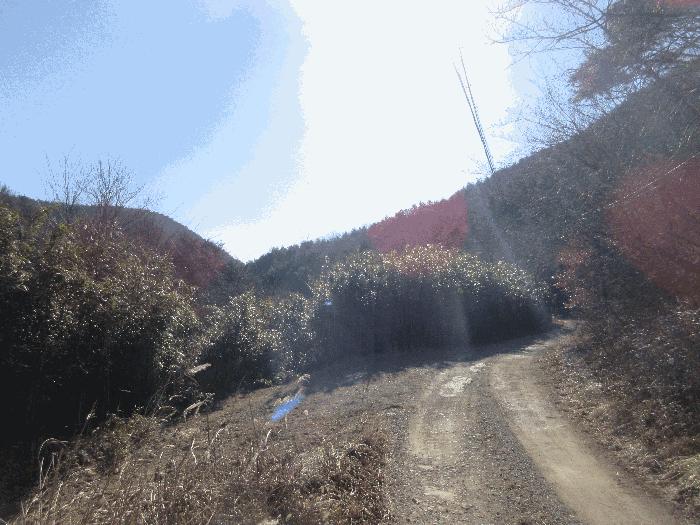 경상북도 포항시 북구 흥해읍 칠포리 산39 법원경매 물건 대표사진