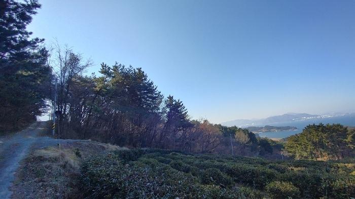 2024타경40181 법원경매 사진2 | 경남 남해군 임야 경매