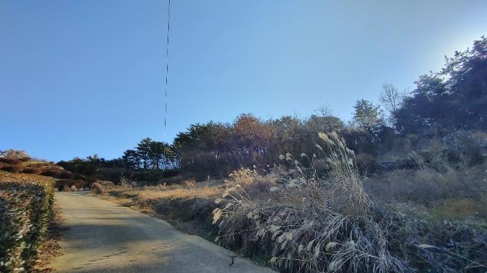 2024타경40181 법원경매 사진3 | 경남 남해군 임야 경매