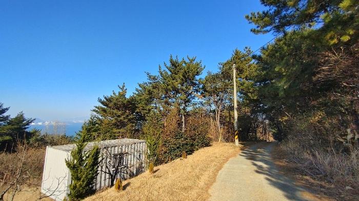 2024타경40181 법원경매 사진4 | 경남 남해군 임야 경매