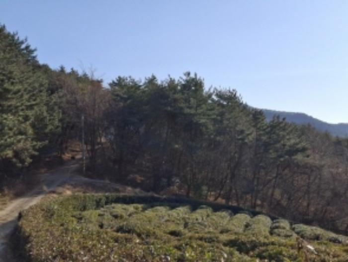 2024타경40181 법원경매 사진5 | 경남 남해군 임야 경매