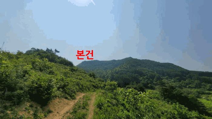 2025타경31263 법원경매 사진2 | 전북 진안군 임야 경매