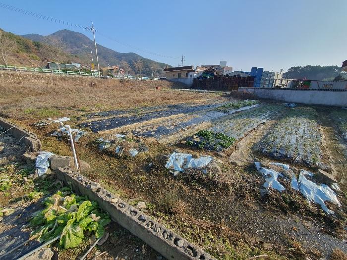 2023타경31367 법원경매 사진5 | 경남 거제시 답 경매
