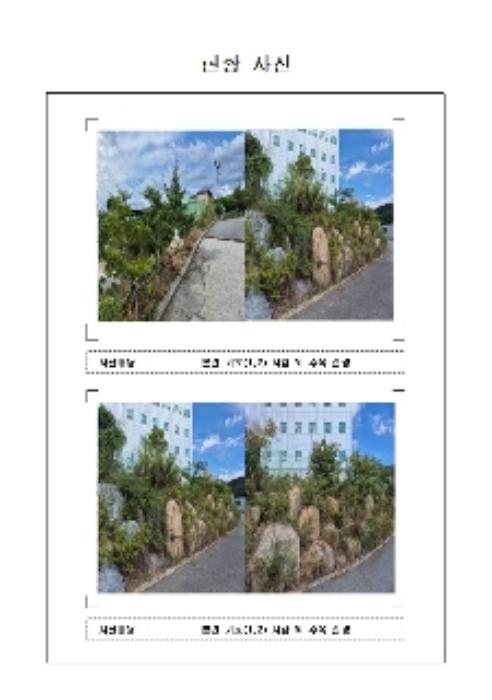 2024타경3849 법원경매 사진5 | 전남 무안군 전답 경매