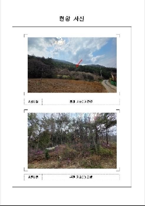2025타경328 법원경매 사진9 | 전남 무안군 임야 경매