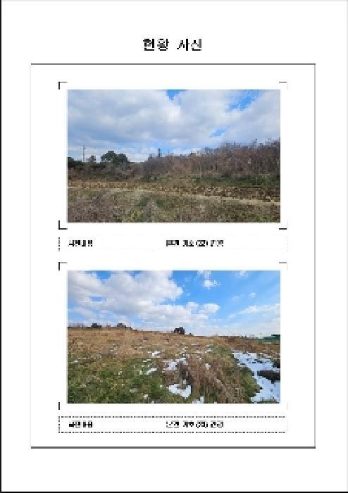 2025타경50262 법원경매 사진15 | 전남 함평군 답 경매