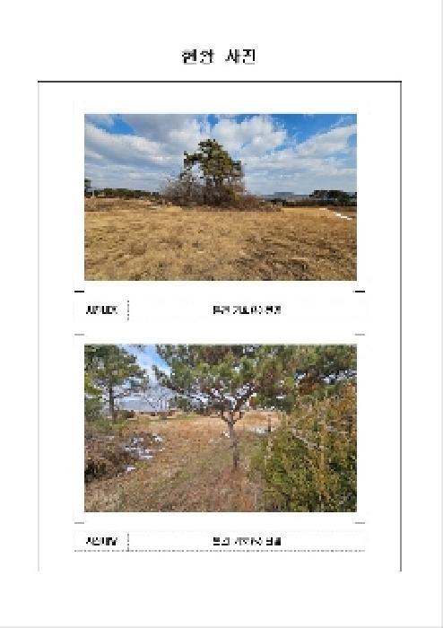 2025타경50262 법원경매 사진6 | 전남 함평군 근린시설 경매