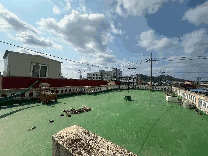 2025타경50858 법원경매 사진15 | 전남 영암군 과수원 경매