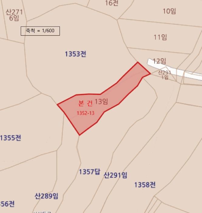 2025타경50895 법원경매 사진8 | 전남 무안군 임야 경매