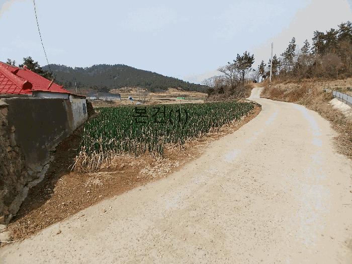 법원경매 2025타경50916 사진3 | 신안군 자은면 유각리 521 전남 신안군 전 경매