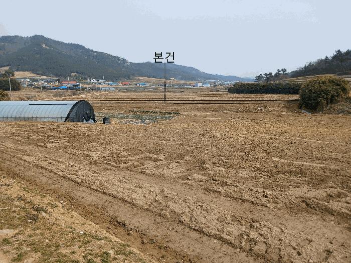 2025타경50916 법원경매 사진6 | 전남 신안군 답 경매