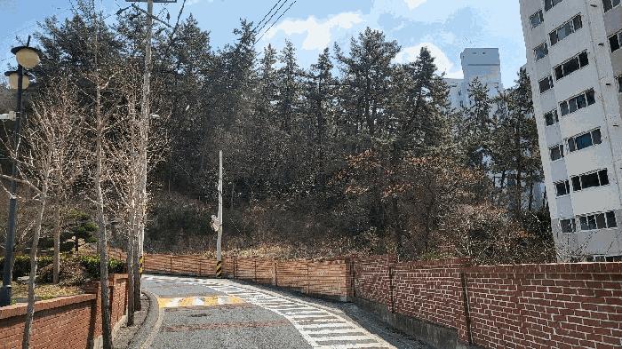 2025타경50966 법원경매 사진4 | 전남 목포시 전 경매