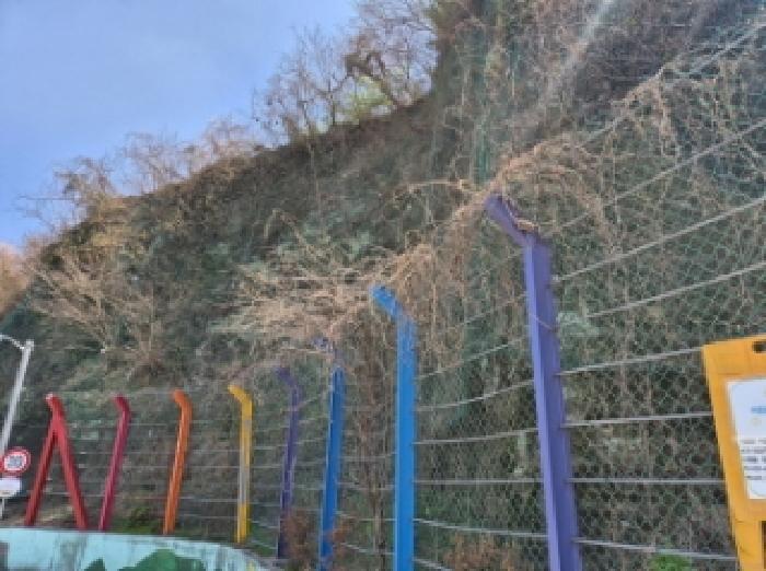 2025타경377 법원경매 사진5 | 경남 고성군 임야 경매