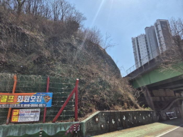 2025타경377 법원경매 사진7 | 경남 고성군 임야 경매