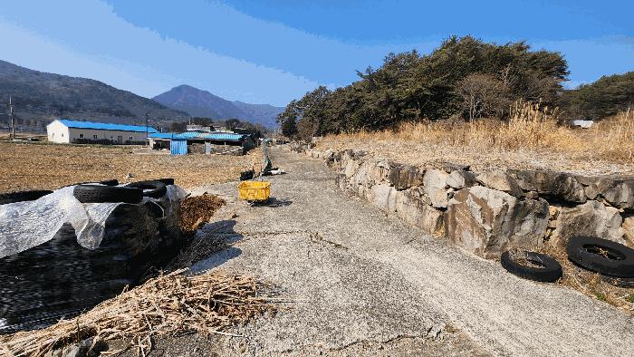 법원경매 2025타경21117 사진3 | 고성군 상리면 망림리 368-1 답 경매