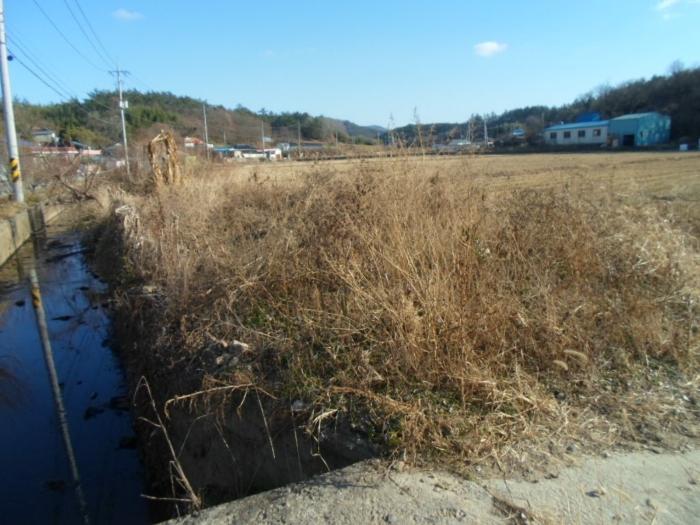 2024타경55481 법원경매 사진16 | 전남 완도군 전 경매