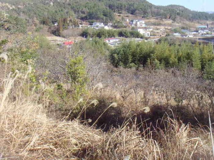 2024타경55481 법원경매 사진21 | 전남 해남군 전 경매