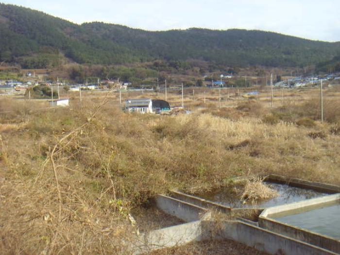 2024타경55481 법원경매 사진23 | 전남 해남군 전 경매